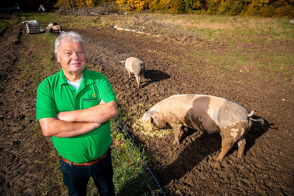 Thomas Schwab bei seinen Weideschweinen